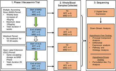 Molecular Signatures of Response to Mecasermin in Children With Rett Syndrome